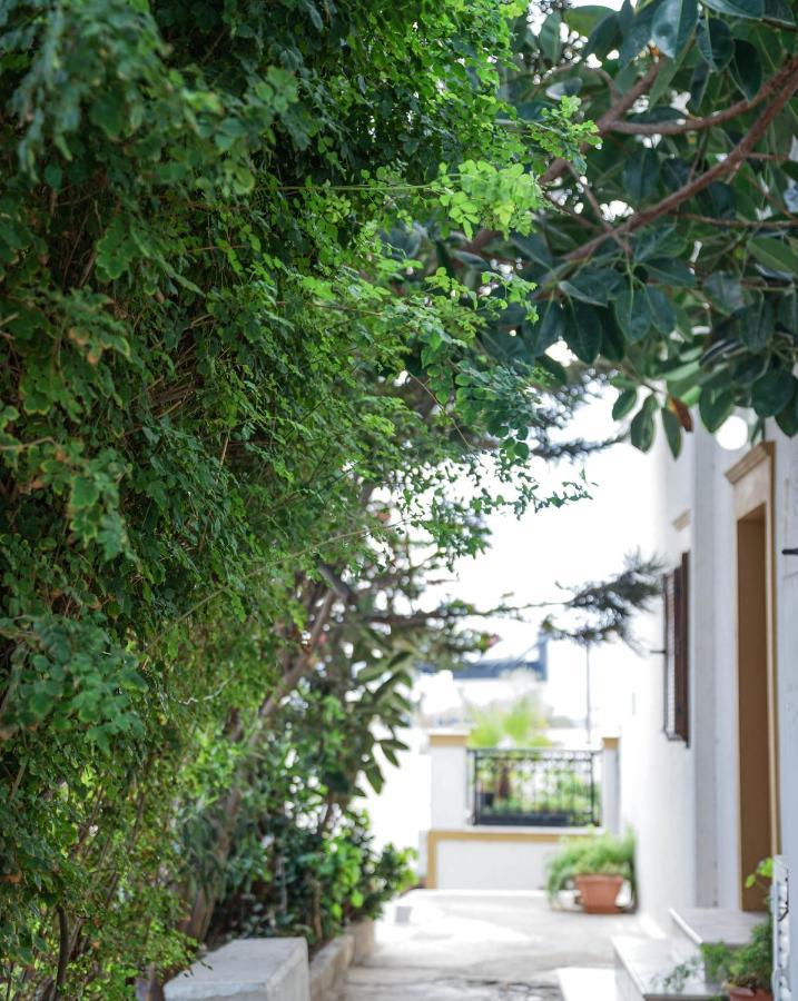 Fira Central Apartments With Veranda 部屋 写真